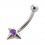 Piercing Arcade Acier Chirurgical 3 Piques Diamant Violet