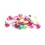 Lot Piercings Langue Couleurs