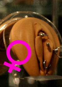 Mod&egrave;le piercing g&eacute;nital f&eacute;minin