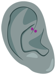 Piercing oreille Daith