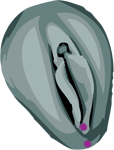 Piercing g&eacute;nital intime f&eacute;minin fourchette